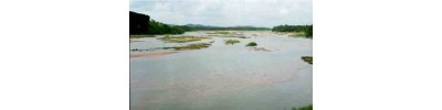 77. திருவித்துவக்கோடு 
